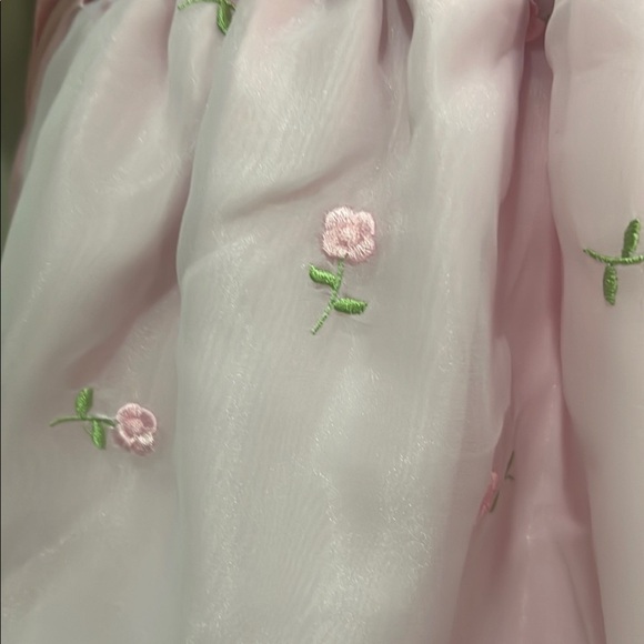 Vintage Dress Baby Toddler  Pink Maroon Roses Velvet Tulle Girl Formal Easter - Picture 3 of 11